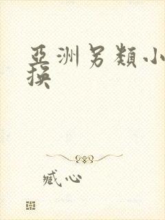 亚洲另类小说交换