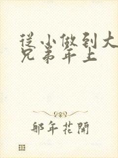 从小做到大骨科兄弟年上