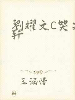 刘耀文C哭宋亚轩