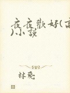 夜夜欢好(高h)小说