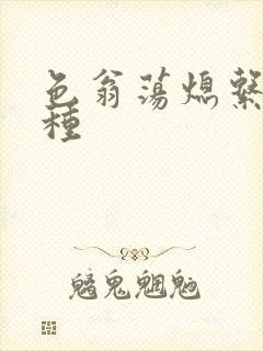 色翁荡熄系列借种