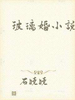 玻璃婚小说