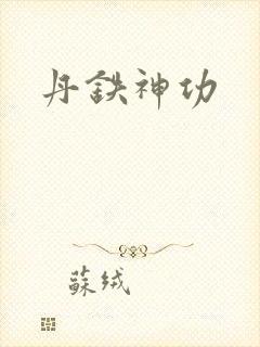 丹铁神功