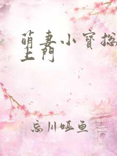 萌妻小宝总裁找上门