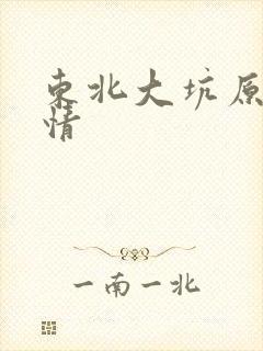 东北大坑原始激情