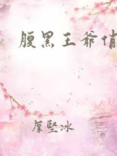 腹黑王爷俏医妃