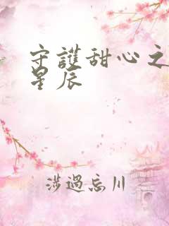 守护甜心之暗夜星辰