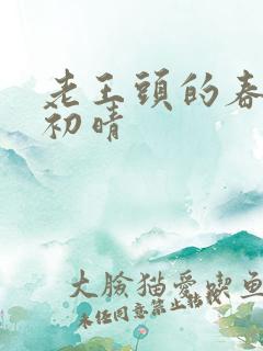 老王头的春天林初晴