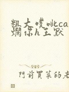 粗大噗呲cao烂你h王默