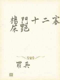 杨门十二寡妇肉床艳