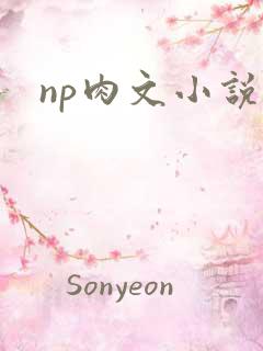 np肉文小说