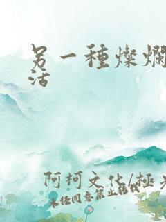 另一种灿烂的生活