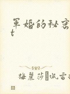 军婚的秘密txt