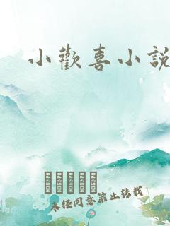 小欢喜小说