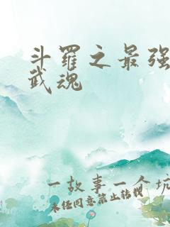 斗罗之最强治疗武魂