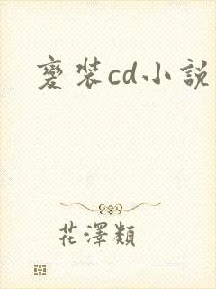 变装cd小说