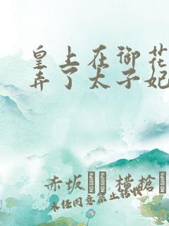 皇上在御花园c弄了太子妃