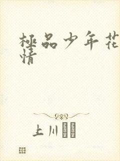 极品少年花都燃情