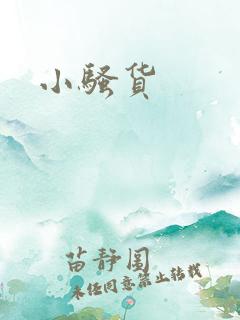小骚货