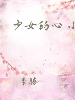 少女的心 小说