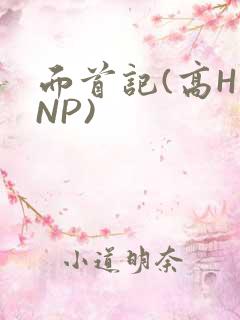 面首记(高H NP)