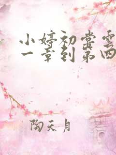 小婷初尝云雨第一章到第四章