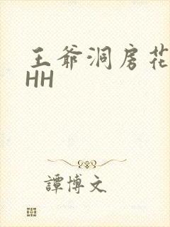 王爷洞房花烛夜HH