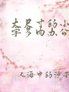 大尺寸的小黄说字多肉办公室作文