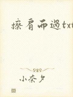 擦肩而过txt