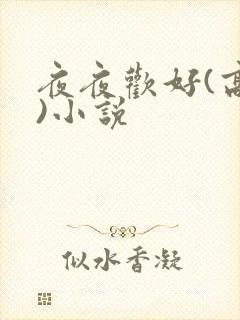 夜夜欢好(高h)小说