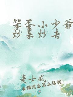 笨蛋小少爷又被炒来炒去