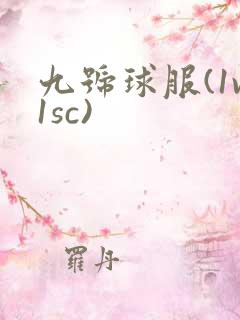 九号球服(1v1sc)