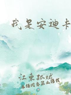 我是安迪卡罗尔