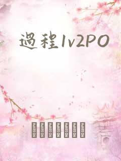 过程1v2PO