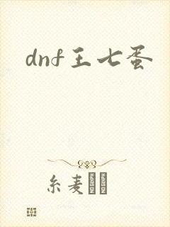 dnf王七蛋