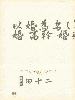 以婚为名 (军婚 高干 婚恋)