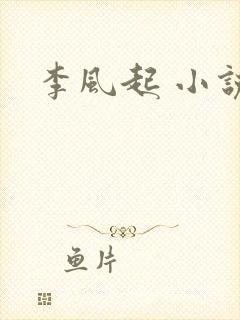 李风起 小说