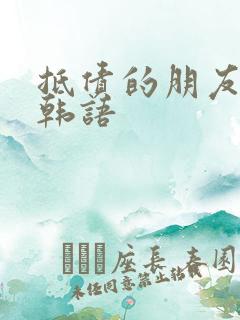 抵债的朋友麦子韩语