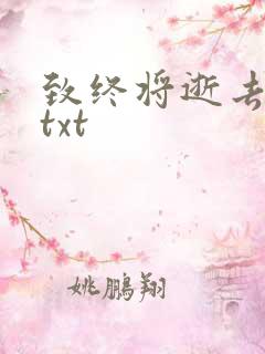 致终将逝去青春txt