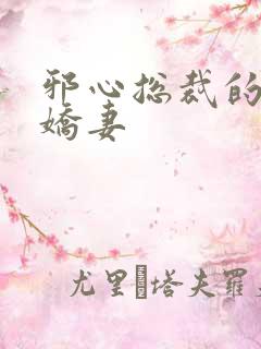 邪心总裁的纯情娇妻