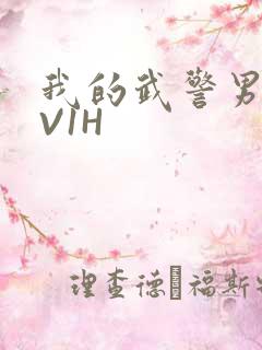 我的武警男友1V1H