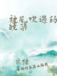 被风吹过的夏天晓渠