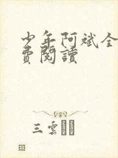 少年阿斌全文免费阅读