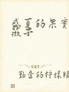 盛夏的果实 小薇子