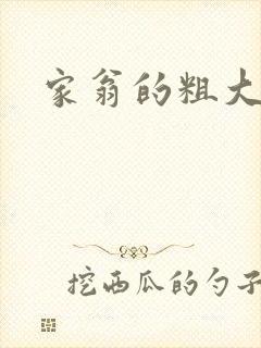 家翁的粗大