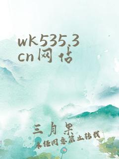 wk535.3cn网站