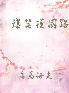 爆笑复国路