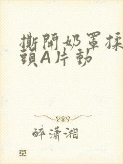 撕开奶罩揉吮奶头A片动