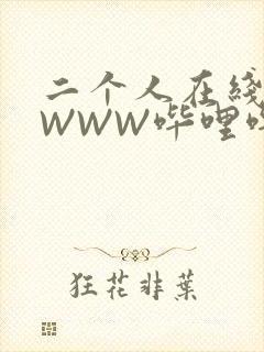 二个人在线观看WWW哔哩哔哩