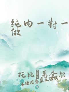 纯肉一对一到处做